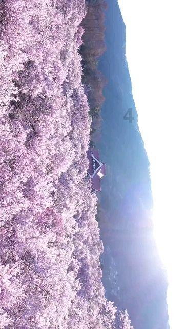 寻找战宝船
