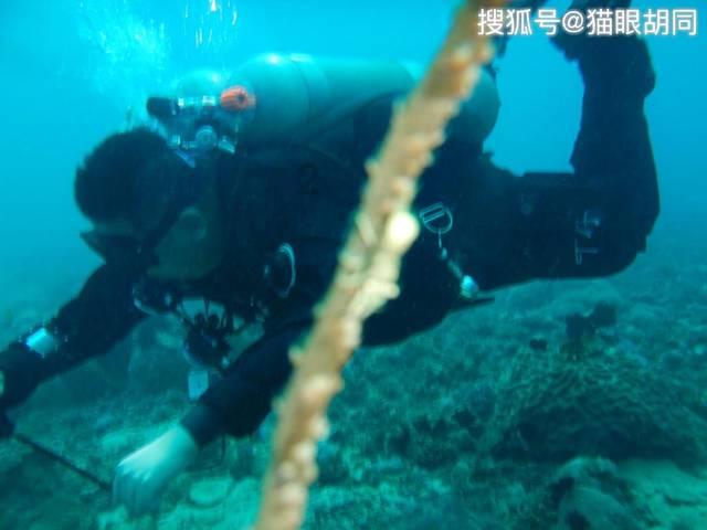 战争机器