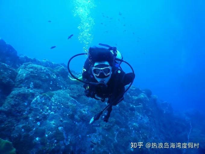 农历公历转换器游戏画面