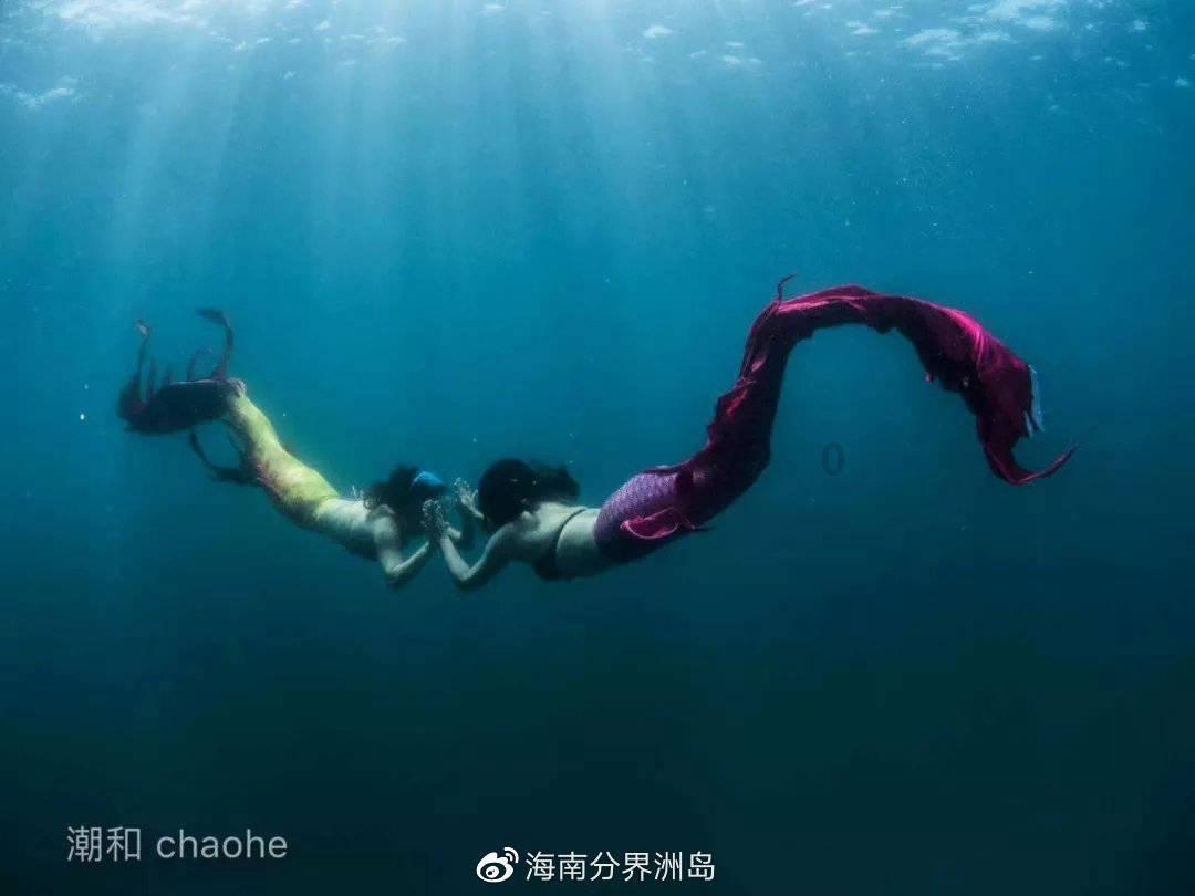 逃离大犀牛出没地