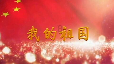 胖小猫救援
